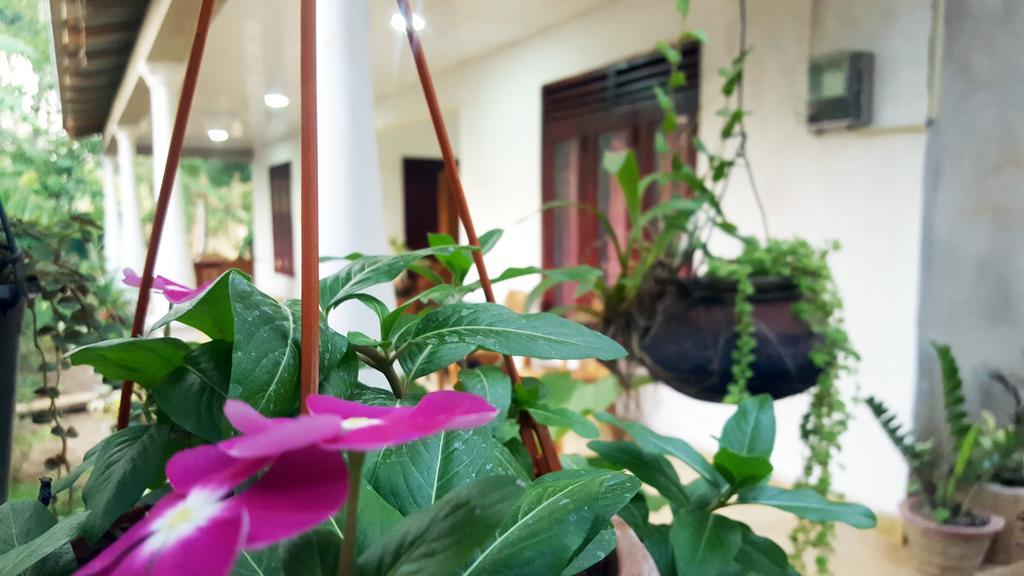 Kassapa Home Stay Sigiriya Eksteriør billede